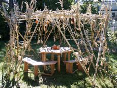The Meaning of Sukkot